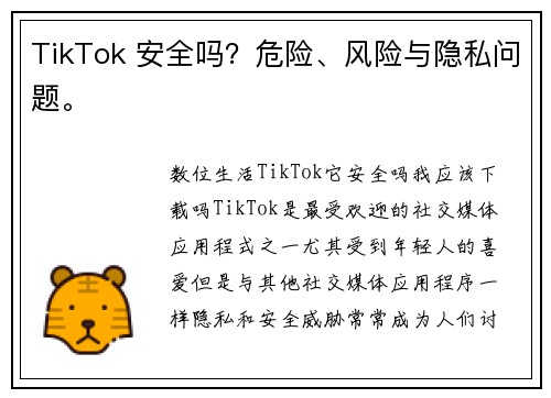 TikTok 安全吗？危险、风险与隐私问题。